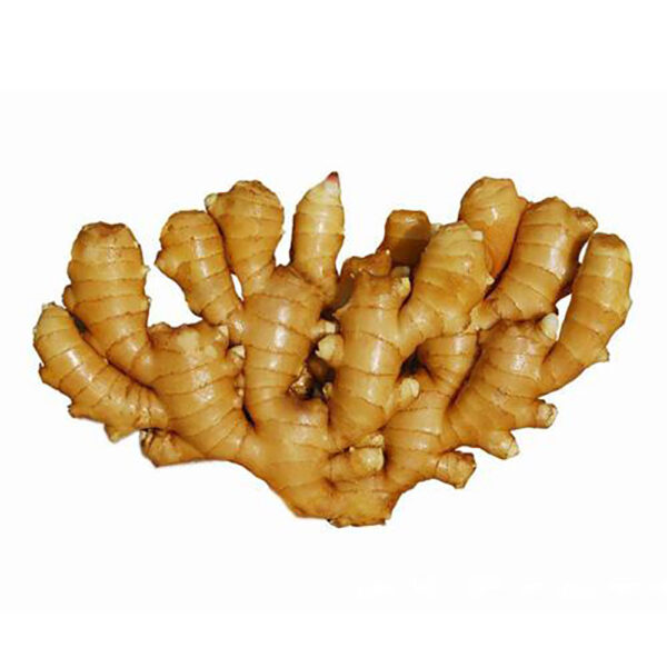 China Fresh Ginger For Sale