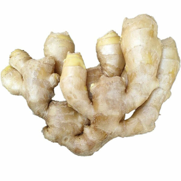 China Fresh Ginger For Sale