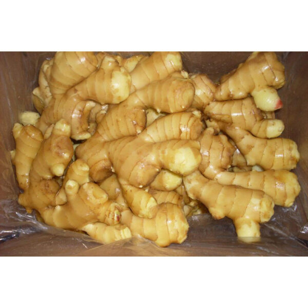 China Fresh Ginger For Sale