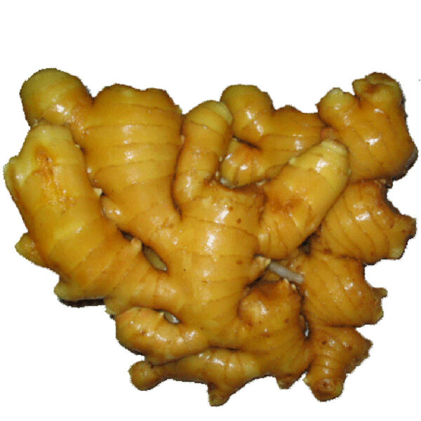 China Fresh Ginger For Sale