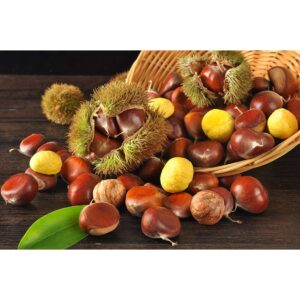 China Fresh Chestnut For Sale